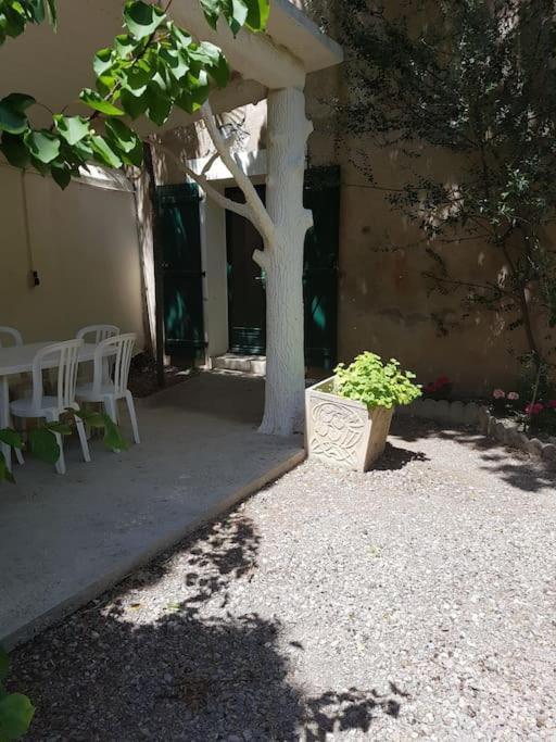 Sigean - Maison Domaine Viticole, 6 Km De La Mer ภายนอก รูปภาพ