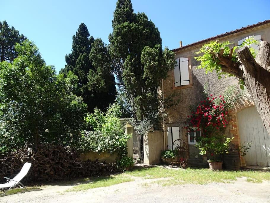 Sigean - Maison Domaine Viticole, 6 Km De La Mer ภายนอก รูปภาพ